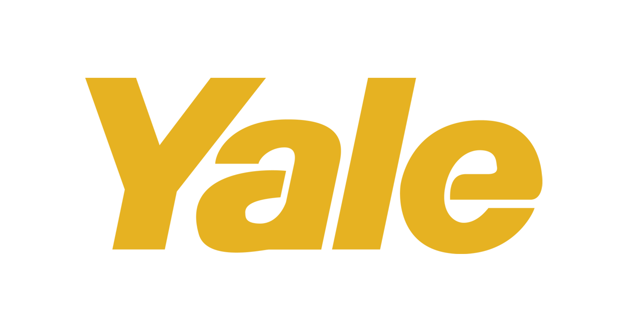 Partner Logo 12